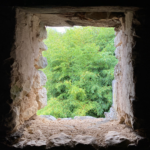 Chez nous, Migné-Auxances